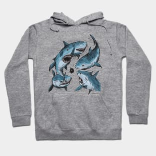 Mako Sharks Hand Drawn Hoodie